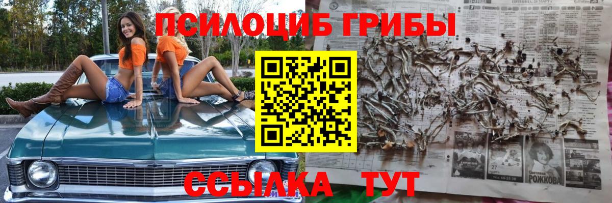 Псилоцибиновые грибы Magic Shrooms Людиново