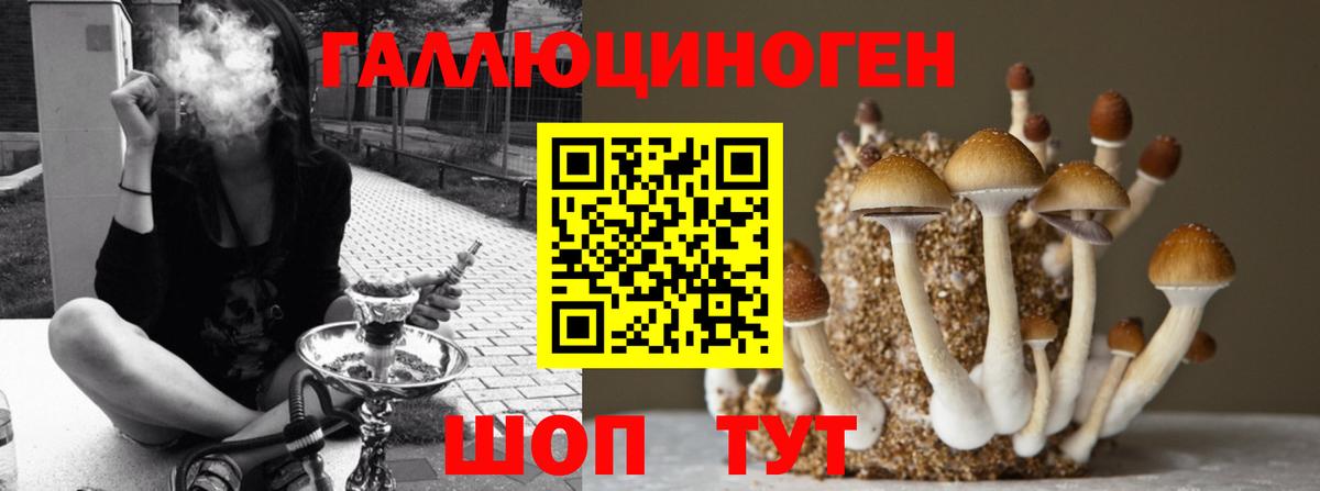 что такое наркотик  Псилоцибиновые грибы мицелий  Вход с VPN  Людиново 